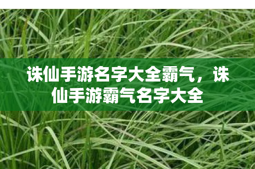 诛仙手游名字大全霸气图片