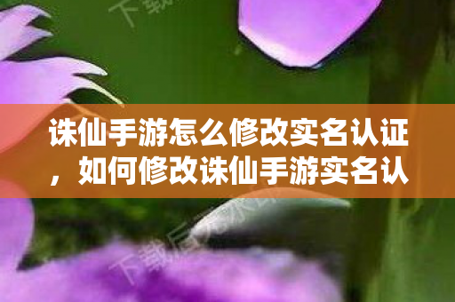 如何修改诛仙手游实名认证信息图片