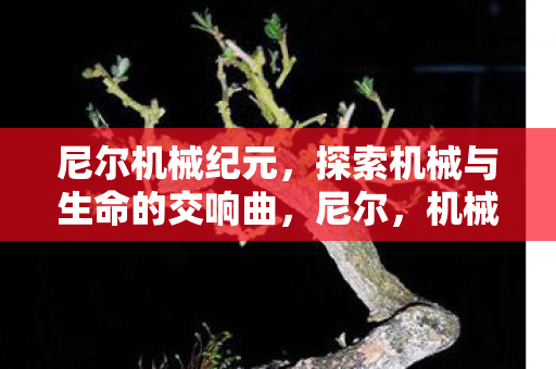 尼尔机械纪元,探索机械与生命的交响曲,尼尔,机械纪元探索机械与生命的交响曲 尼尔机械纪元,探索机械与生命的交响曲,尼尔,机械纪元探索机械与生命的交响曲