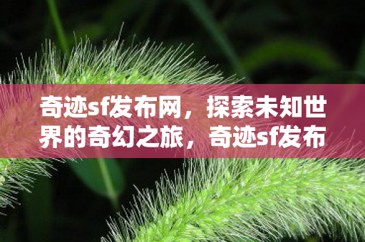 奇迹sf发布网,探索未知世界的奇幻之旅,奇迹sf发布网,开启探索未知世界的奇幻之旅 奇迹sf发布网,探索未知世界的奇幻之旅,奇迹sf发布网,开启探索未知世界的奇幻之旅