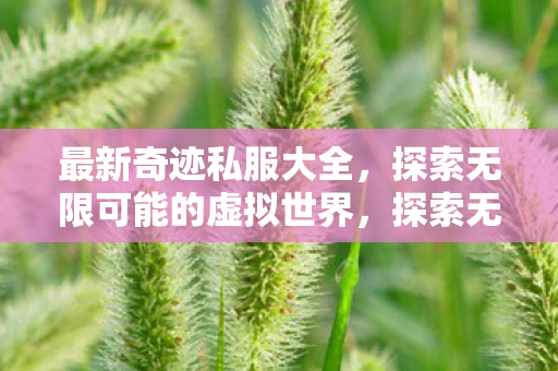 最新奇迹私服大全,探索无限可能的虚拟世界,探索无限可能的虚拟世界,最新奇迹私服大全 最新奇迹私服大全,探索无限可能的虚拟世界,探索无限可能的虚拟世界,最新奇迹私服大全
