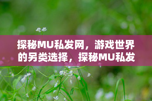 探秘MU私发网,游戏世界的另类选择,探秘MU私发网,游戏世界的另类选择 探秘MU私发网,游戏世界的另类选择,探秘MU私发网,游戏世界的另类选择