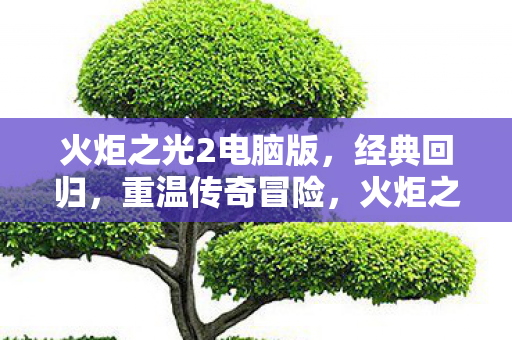 火炬之光2电脑版,经典回归,重温传奇冒险,火炬之光2电脑版经典回归,重温传奇冒险之旅 火炬之光2电脑版,经典回归,重温传奇冒险,火炬之光2电脑版经典回归,重温传奇冒险之旅
