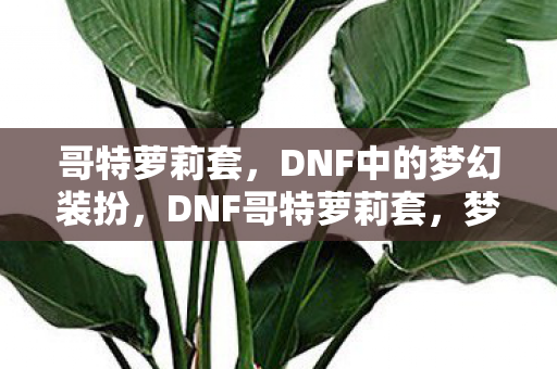 哥特萝莉套,DNF中的梦幻装扮,DNF哥特萝莉套,梦幻装扮的时尚风潮 哥特萝莉套,DNF中的梦幻装扮,DNF哥特萝莉套,梦幻装扮的时尚风潮