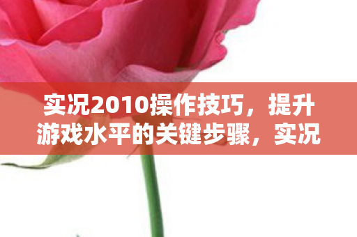 实况2010操作技巧,提升游戏水平的关键步骤,实况2010,提升游戏水平的关键操作技巧 实况2010操作技巧,提升游戏水平的关键步骤,实况2010,提升游戏水平的关键操作技巧