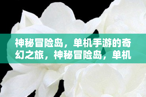 神秘冒险岛,单机手游的奇幻之旅,神秘冒险岛,单机手游的奇幻之旅 神秘冒险岛,单机手游的奇幻之旅,神秘冒险岛,单机手游的奇幻之旅