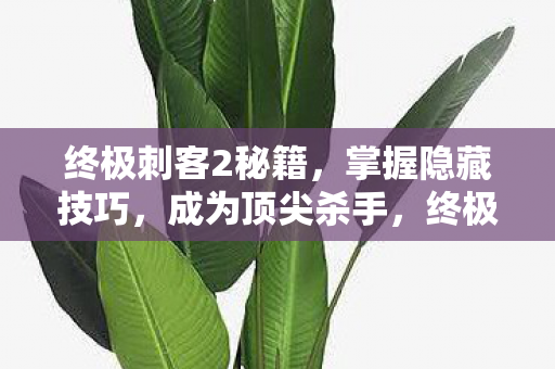 终极刺客2秘籍,掌握隐藏技巧,成为顶尖杀手,终极刺客2,掌握隐藏技巧,成为顶尖杀手 终极刺客2秘籍,掌握隐藏技巧,成为顶尖杀手,终极刺客2,掌握隐藏技巧,成为顶尖杀手