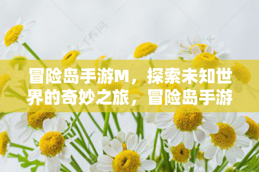 冒险岛手游M,探索未知世界的奇妙之旅,冒险岛手游M,探索未知世界的奇妙之旅 冒险岛手游M,探索未知世界的奇妙之旅,冒险岛手游M,探索未知世界的奇妙之旅