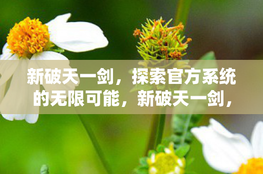 新破天一剑，探索官方系统的无限可能，新破天一剑，探索官方系统的无限可能