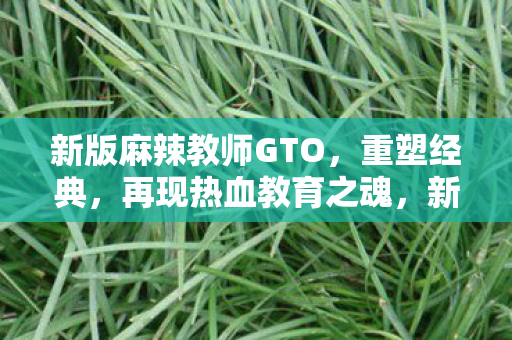 新版麻辣教师GTO，重塑经典，再现热血教育之魂，新版麻辣教师GTO再现热血教育之魂