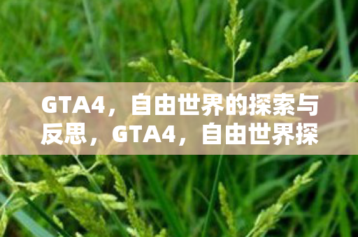 GTA4,自由世界的探索与反思,GTA4,自由世界探索与反思的奇妙之旅 GTA4,自由世界的探索与反思,GTA4,自由世界探索与反思的奇妙之旅