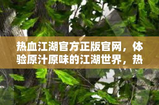 热血江湖官方正版官网，体验原汁原味的江湖世界，热血江湖官方正版官网，重温经典江湖，体验原汁原味