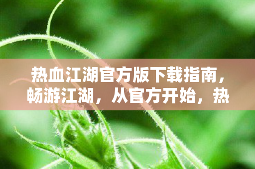 热血江湖官方版下载指南，畅游江湖，从官方开始，热血江湖官方版下载指南，畅游江湖，从官方开始