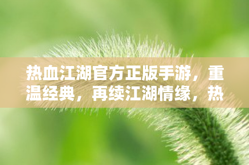 热血江湖官方正版手游，重温经典，再续江湖情缘，热血江湖手游，重温经典，再续江湖情缘