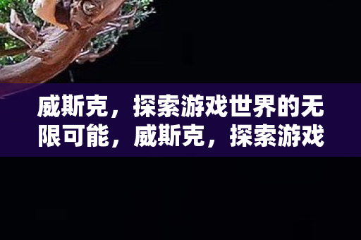 威斯克，探索游戏世界的无限可能，威斯克，探索游戏世界的无限可能