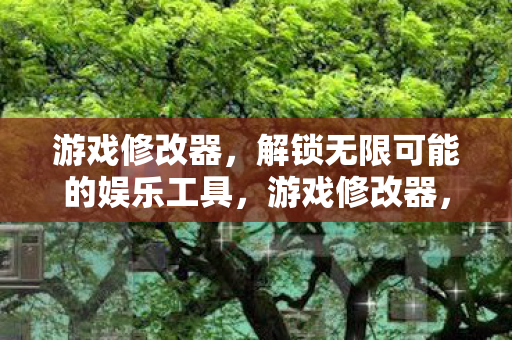游戏修改器,解锁无限可能的娱乐工具,游戏修改器,解锁无限可能的娱乐工具 游戏修改器,解锁无限可能的娱乐工具,游戏修改器,解锁无限可能的娱乐工具
