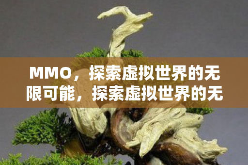 MMO，探索虚拟世界的无限可能，探索虚拟世界的无限可能，MMO游戏新体验