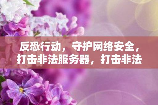 反恐行动，守护网络安全，打击非法服务器，打击非法服务器，守护网络安全，反恐行动进行时