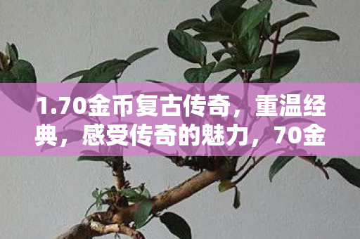 1.70金币复古传奇,重温经典,感受传奇的魅力,70金币复古传奇,重温经典,感受传奇的独特魅力 1.70金币复古传奇,重温经典,感受传奇的魅力,70金币复古传奇,重温经典,感受传奇的独特魅力