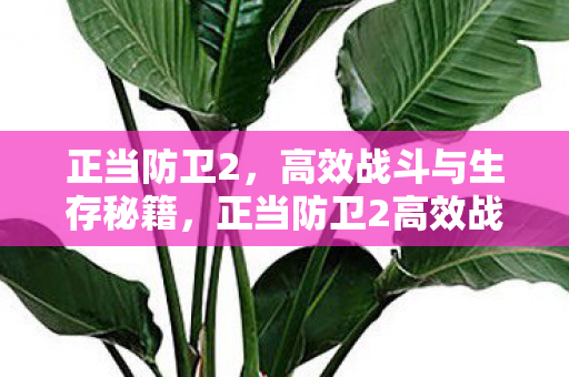 正当防卫2高效战斗与生存秘籍图片