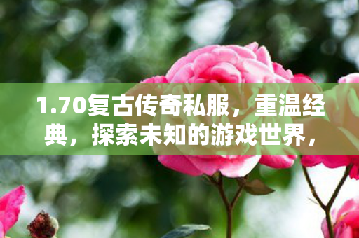 1.70复古传奇私服，重温经典，探索未知的游戏世界，70复古传奇私服，重温经典，探索未知游戏世界