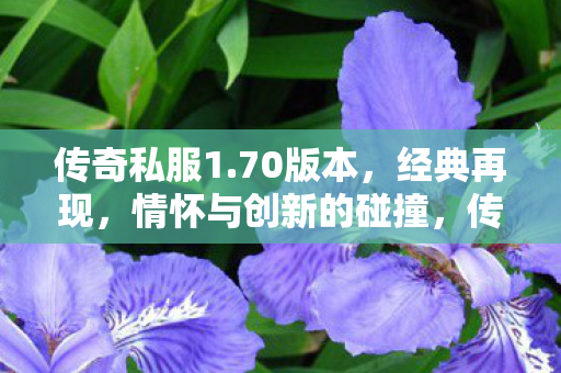传奇私服1.70版本，经典再现，情怀与创新的碰撞，传奇私服1.70版本，经典再现，情怀与创新的碰撞
