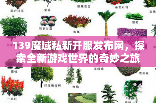 探索全新游戏世界的奇妙之旅图片