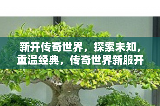 新开传奇世界,探索未知,重温经典,传奇世界新服开启,探索未知重温经典 新开传奇世界,探索未知,重温经典,传奇世界新服开启,探索未知重温经典