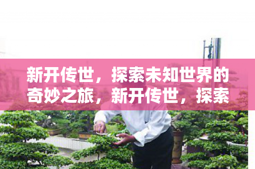 新开传世,探索未知世界的奇妙之旅,新开传世,探索未知世界的奇妙之旅 新开传世,探索未知世界的奇妙之旅,新开传世,探索未知世界的奇妙之旅