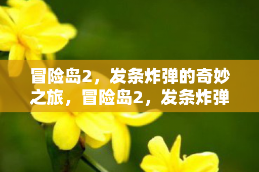 冒险岛2,发条炸弹的奇妙之旅,冒险岛2,发条炸弹的奇妙冒险之旅 冒险岛2,发条炸弹的奇妙之旅,冒险岛2,发条炸弹的奇妙冒险之旅