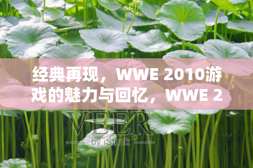 经典再现,WWE 2010游戏的魅力与回忆,WWE 2010,经典再现,重温游戏魅力与回忆 经典再现,WWE 2010游戏的魅力与回忆,WWE 2010,经典再现,重温游戏魅力与回忆