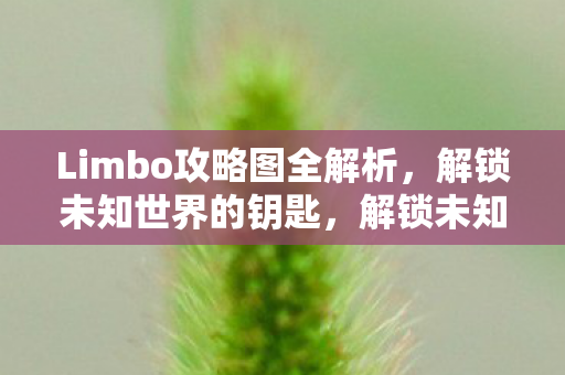 Limbo攻略图全解析，解锁未知世界的钥匙，解锁未知世界的钥匙，Limbo攻略图全解析