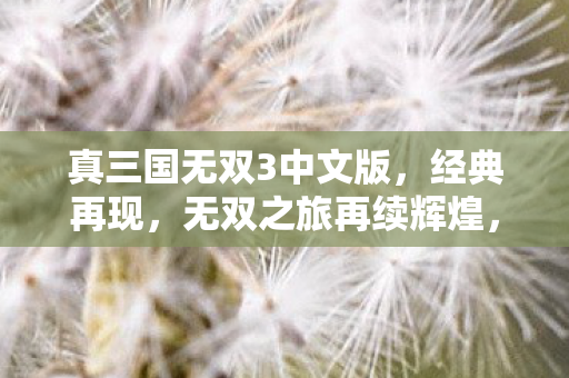 真三国无双3中文版，经典再现，无双之旅再续辉煌，真三国无双3中文版，经典再现，无双之旅再续辉煌