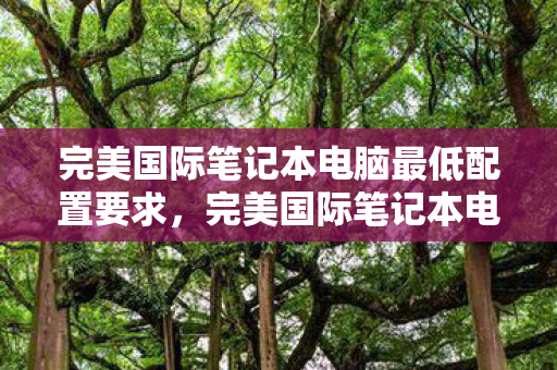 完美国际笔记本电脑最低配置要求,完美国际笔记本电脑最低配置要求公布 完美国际笔记本电脑最低配置要求,完美国际笔记本电脑最低配置要求公布
