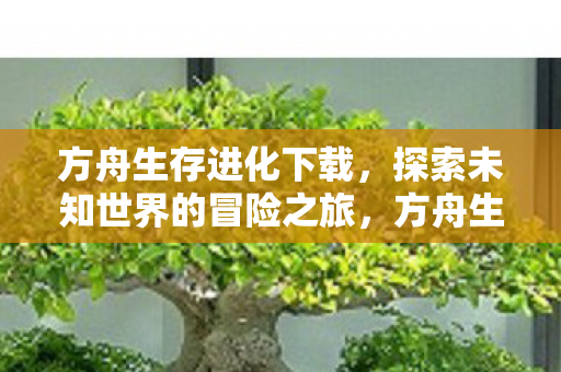方舟生存进化下载,探索未知世界的冒险之旅,方舟生存进化,探索未知世界的冒险之旅下载启动 方舟生存进化下载,探索未知世界的冒险之旅,方舟生存进化,探索未知世界的冒险之旅下载启动