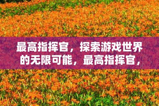 最高指挥官,探索游戏世界的无限可能,最高指挥官,探索游戏世界的无限可能 最高指挥官,探索游戏世界的无限可能,最高指挥官,探索游戏世界的无限可能