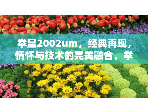 拳皇2002um,经典再现,情怀与技术的完美融合,拳皇2002um,经典再现,情怀与技术的完美融合 拳皇2002um,经典再现,情怀与技术的完美融合,拳皇2002um,经典再现,情怀与技术的完美融合