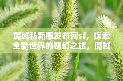 探索全新世界的奇幻之旅图片