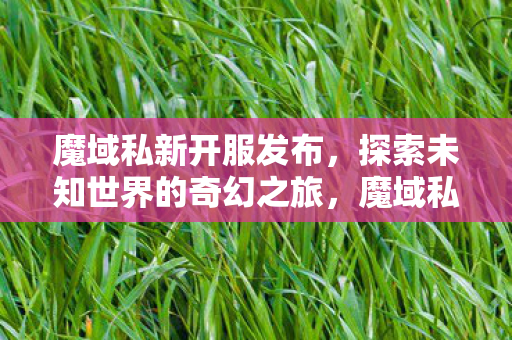 探索未知世界的奇幻之旅图片