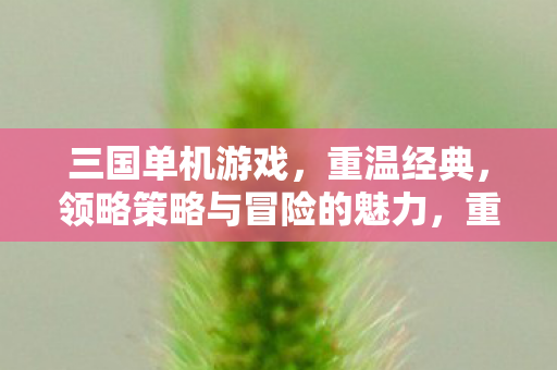三国单机游戏,重温经典,领略策略与冒险的魅力,重温经典三国单机游戏,策略与冒险的极致体验 三国单机游戏,重温经典,领略策略与冒险的魅力,重温经典三国单机游戏,策略与冒险的极致体验