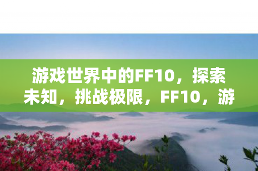 游戏世界中的FF10,探索未知,挑战极限,FF10,游戏世界中的冒险与挑战 游戏世界中的FF10,探索未知,挑战极限,FF10,游戏世界中的冒险与挑战