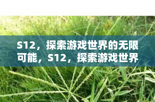 S12,探索游戏世界的无限可能,S12,探索游戏世界的无限可能 S12,探索游戏世界的无限可能,S12,探索游戏世界的无限可能