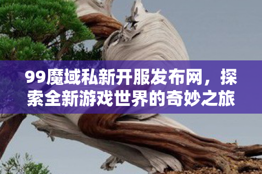 探索全新游戏世界的奇妙之旅图片
