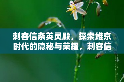 刺客信条英灵殿,探索维京时代的隐秘与荣耀,刺客信条,英灵殿揭秘维京时代隐秘与荣耀 刺客信条英灵殿,探索维京时代的隐秘与荣耀,刺客信条,英灵殿揭秘维京时代隐秘与荣耀
