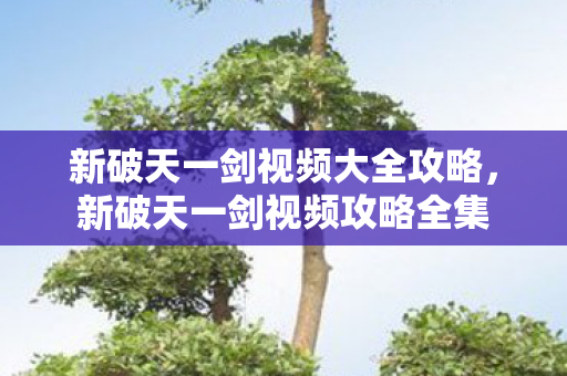 新破天一剑视频大全攻略,新破天一剑视频攻略全集 新破天一剑视频大全攻略,新破天一剑视频攻略全集