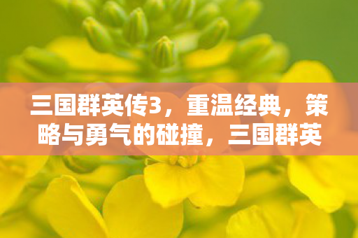 三国群英传3，重温经典，策略与勇气的碰撞，三国群英传3，重温经典，策略与勇气的碰撞