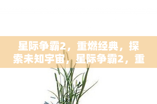 星际争霸2，重燃经典，探索未知宇宙，星际争霸2，重燃经典，探索未知宇宙