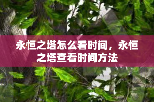 永恒之塔怎么看时间,永恒之塔查看时间方法 永恒之塔怎么看时间,永恒之塔查看时间方法