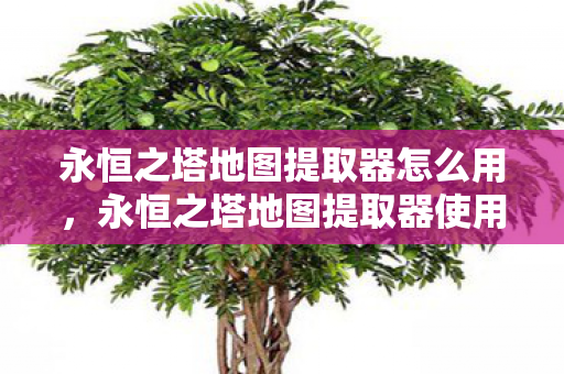 永恒之塔地图提取器怎么用，永恒之塔地图提取器使用指南