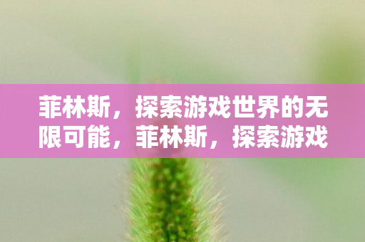 菲林斯,探索游戏世界的无限可能,菲林斯,探索游戏世界的无限可能 菲林斯,探索游戏世界的无限可能,菲林斯,探索游戏世界的无限可能